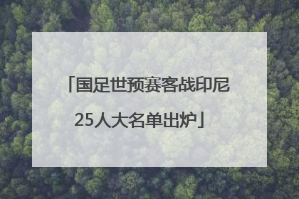 国足世预赛客战印尼25人大名单出炉